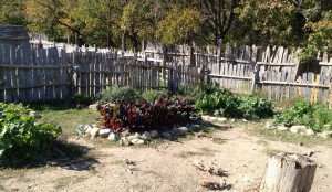 An early Puritan garden