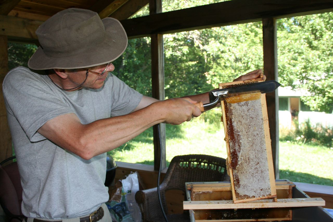 Sap Bush Hollow Farm honeycomb