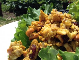 Curried Cashew-Chicken Salad with Raisins and Cranberries