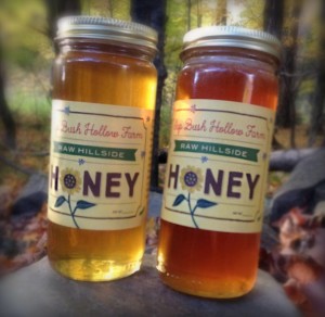 Fall Honey