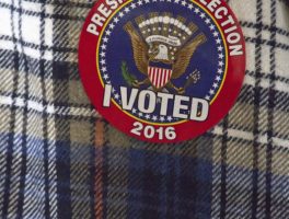 The Flannel Vote