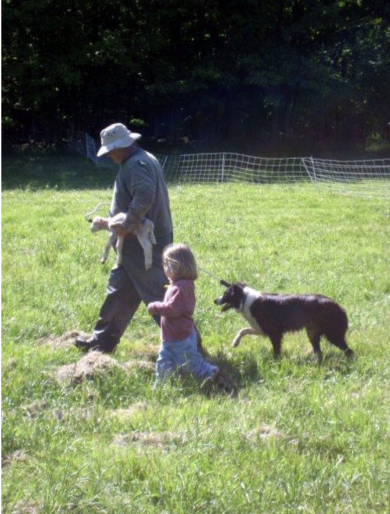 A grandfather with his granddaughter on a sheep farm