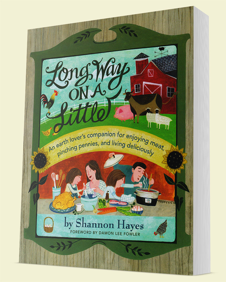 Long Way on a Little by Shannon Hayes